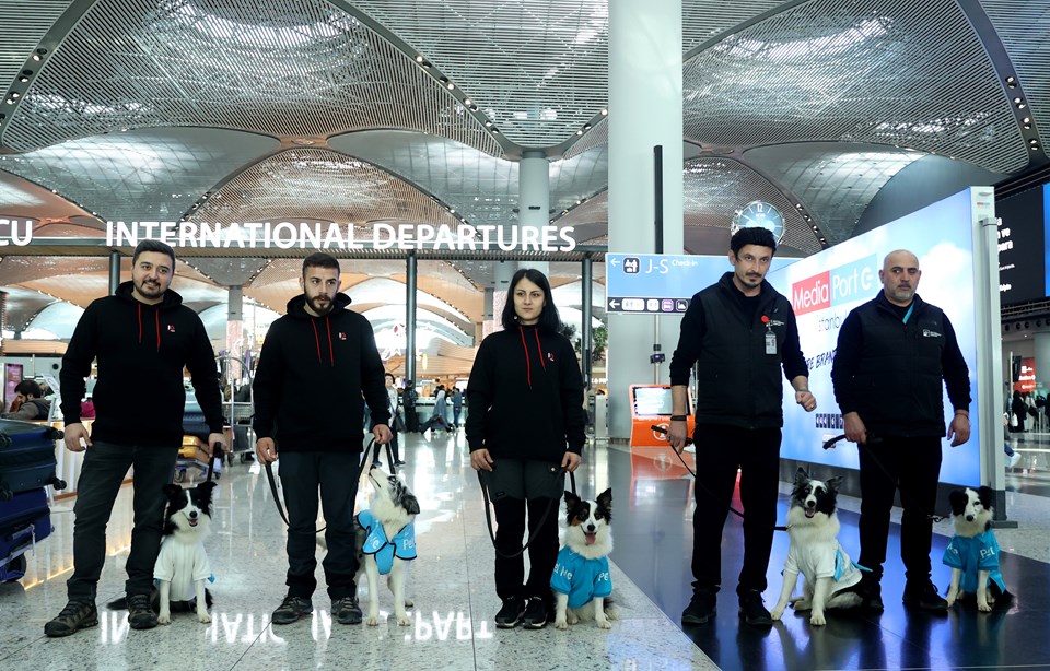 Türkiye'de ilk | İstanbul Havalimanı'nda "terapi köpekleri" görev başında - 2