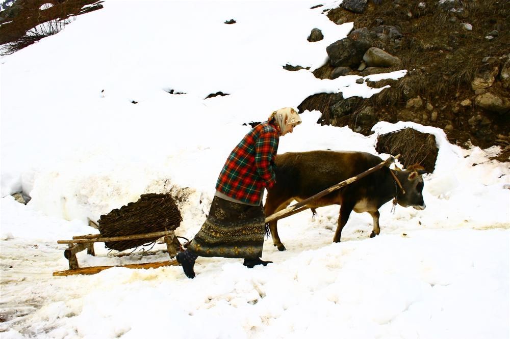 Karadeniz kadınının kara yazgısı - 3