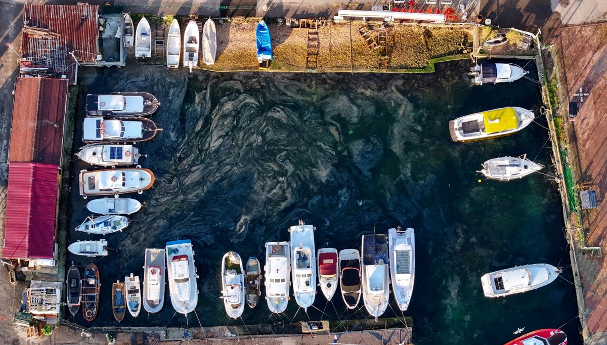 Marmara'da müsilaj artabilir