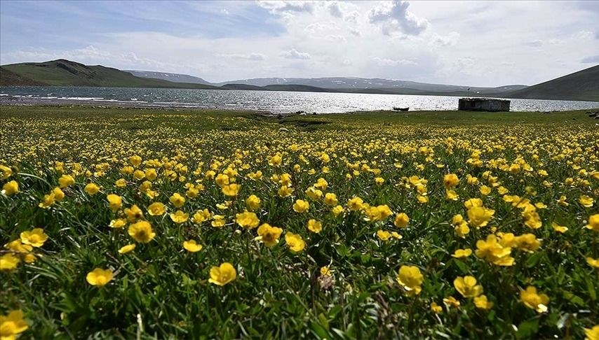 Baharın müjdecisi olarak biliniyor: Cemre ne zaman düşecek? Cemre düşme tarihleri