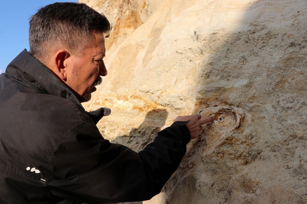 Edirne'de 8 milyon yıllık mamut fosilleri bulundu - 16