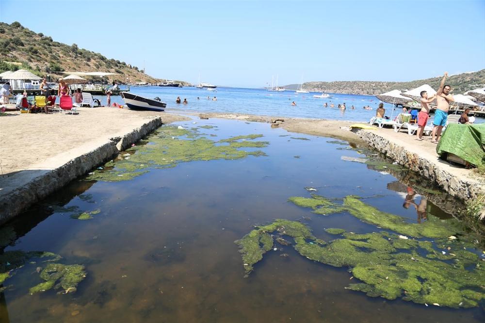 Bodrum'da deniz kirliliğine tepki - 1