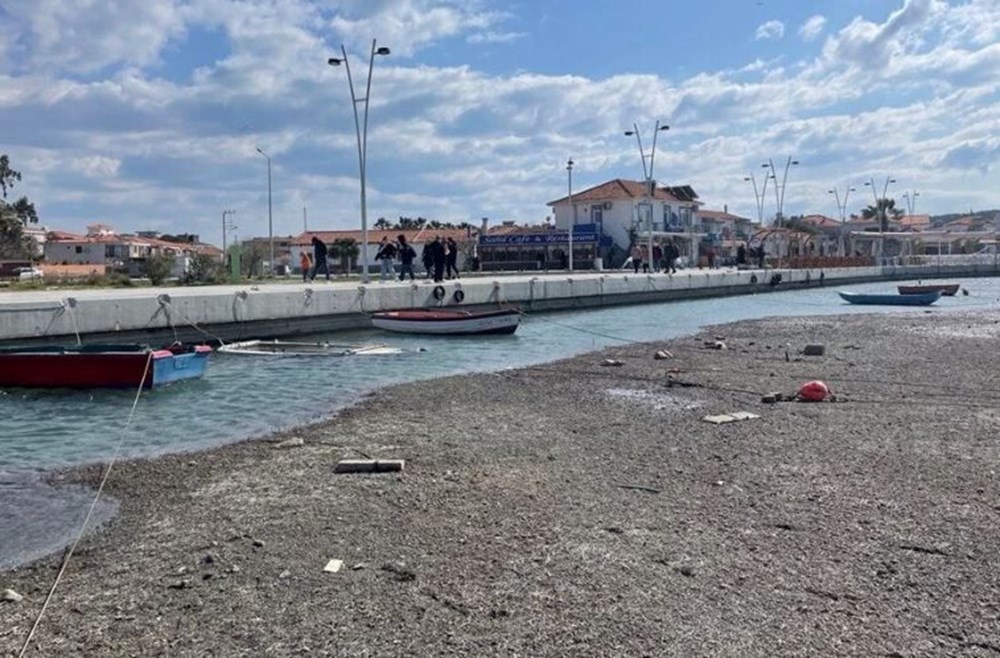 Deniz çekilmesi neden olur? Deniz çekilmesi deprem işareti midir? Bilim insanları açıklamıştı - 2