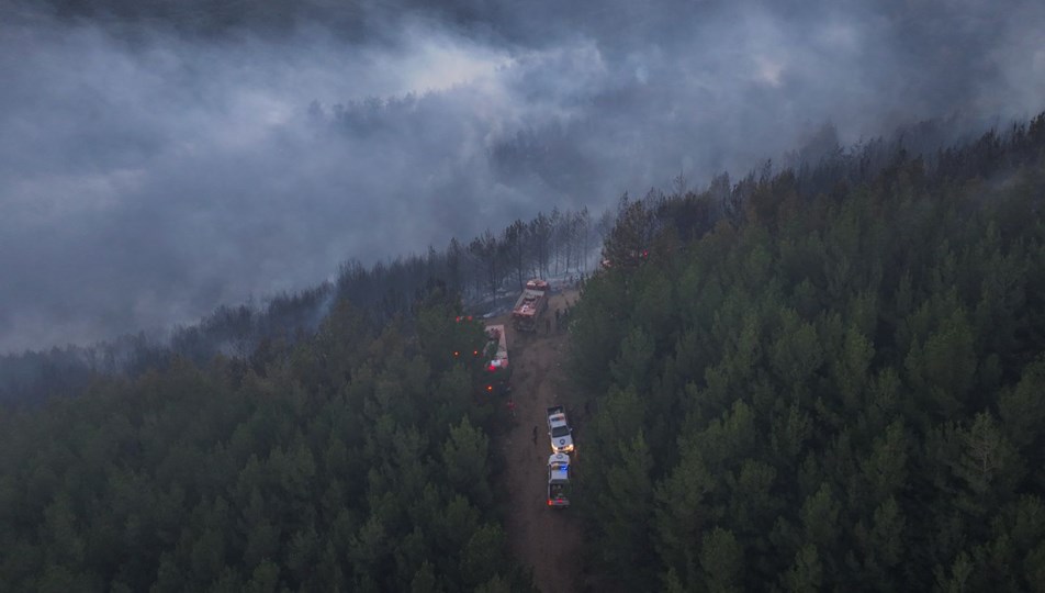 İzmir'de orman yangını