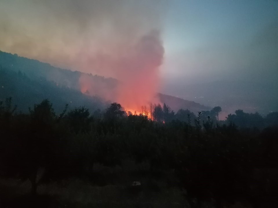 Orman yangınlarında son durum: Termik santraldeki yangın söndü - 11