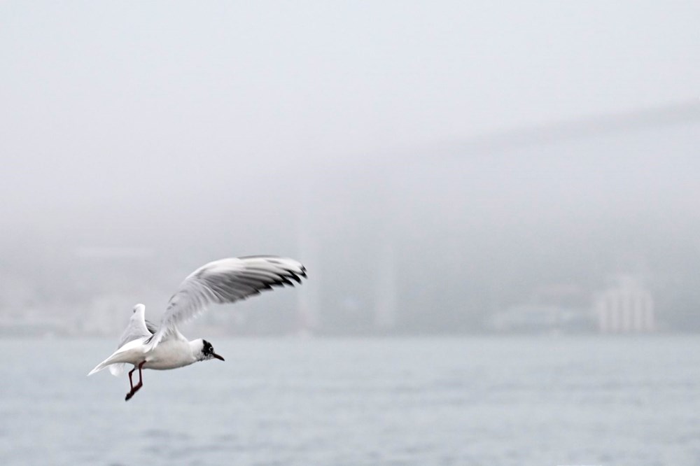 İstanbul'da deniz ve hava ulaşımına sis engeli - 7
