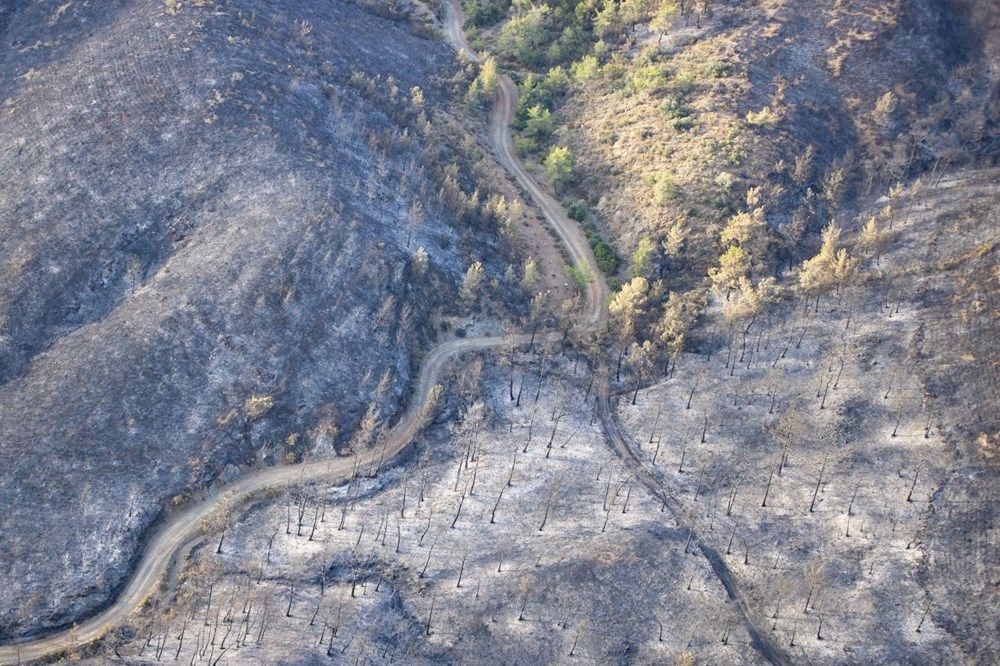 Marmaris'teki orman yangını kontrol altına alındı - 13