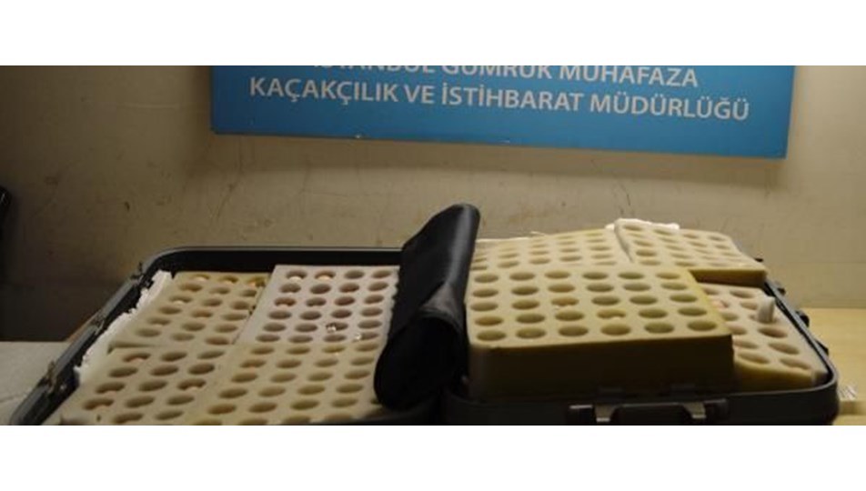 Atatürk Havalimanı'nda 802 ejderha yumurtası ele geçirildi (Tanesi 2 bin dolar)
