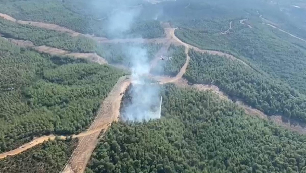 İzmir'de orman yangını