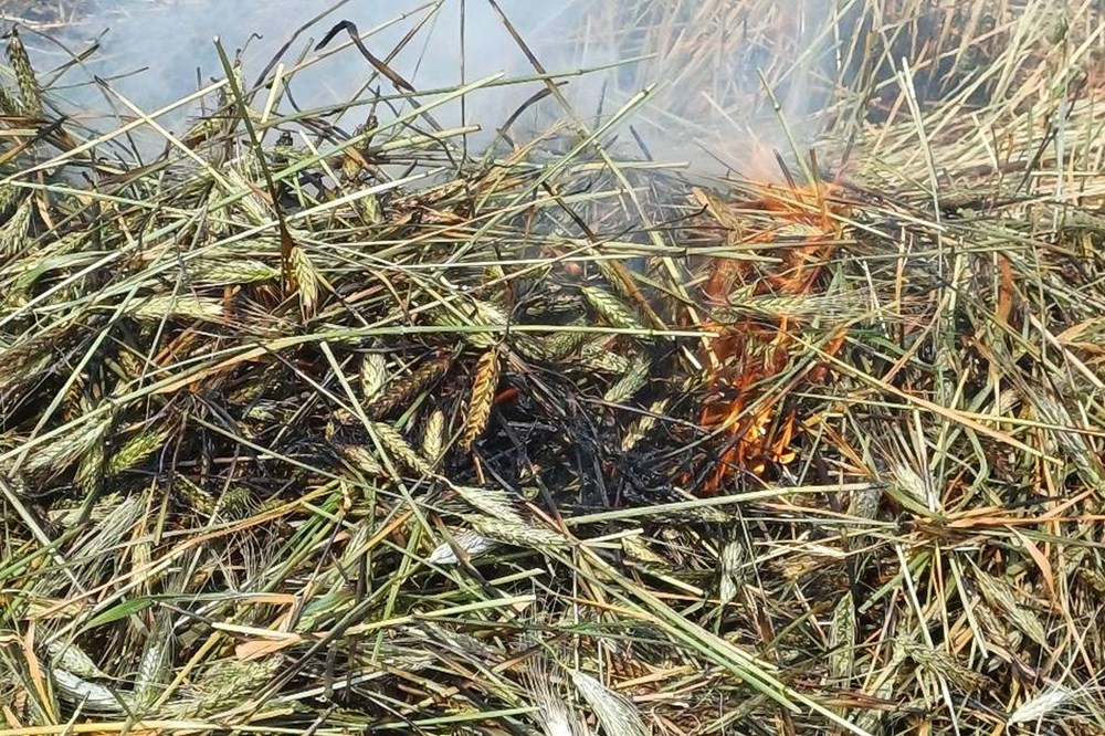 0K2uMDKe3k6gdXRat9ZWTQ