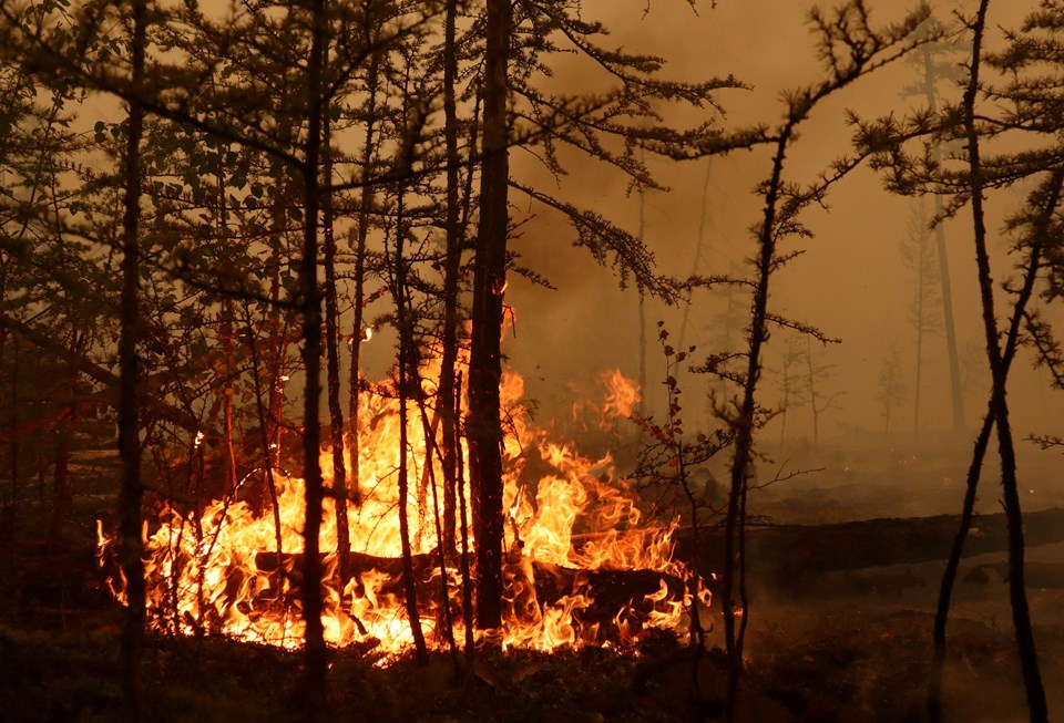 Dünya yanıyor: Birçok ülke orman yangınlarıyla mücadele ediyor - 1