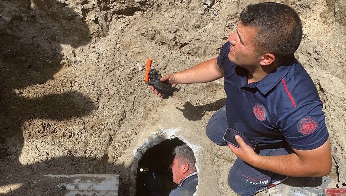 Kanalizasyon borusunun içinden çıktı Kanalizasyon borusunun içinden çıktı