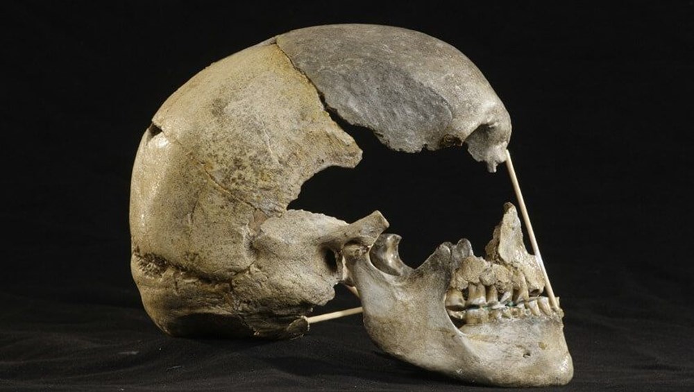 Modern insanlara ait en eski DNA bulundu: 45 bin yaşında - 2