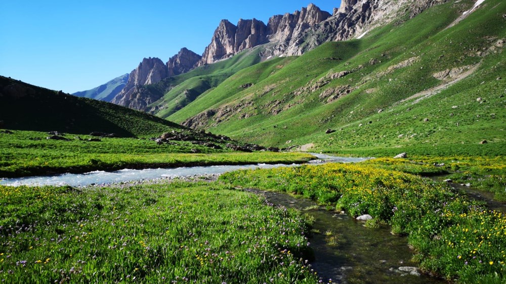 Yükseklerin Büyüsü: Yaylalar ve Dağların Dorukları