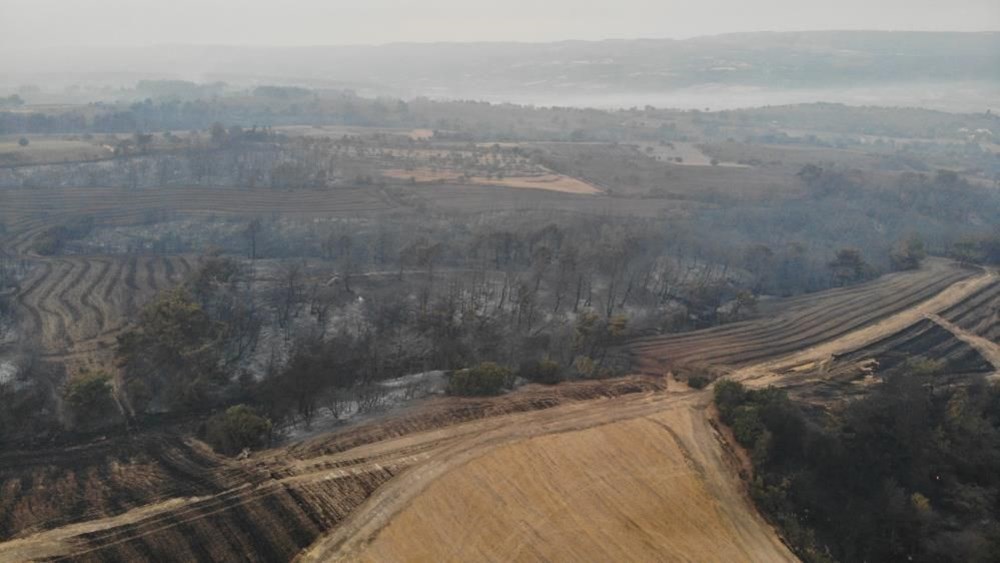 Çanakkale'deki orman yangınında yanan alanlar havadan görüntülendi - 2
