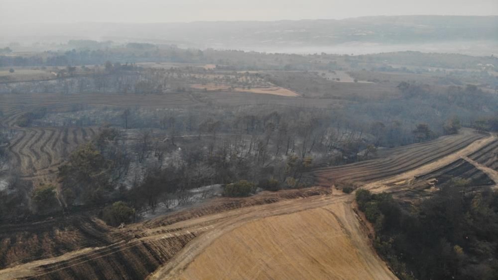Çanakkale'deki orman yangınında yanan alanlar havadan görüntülendi - 2