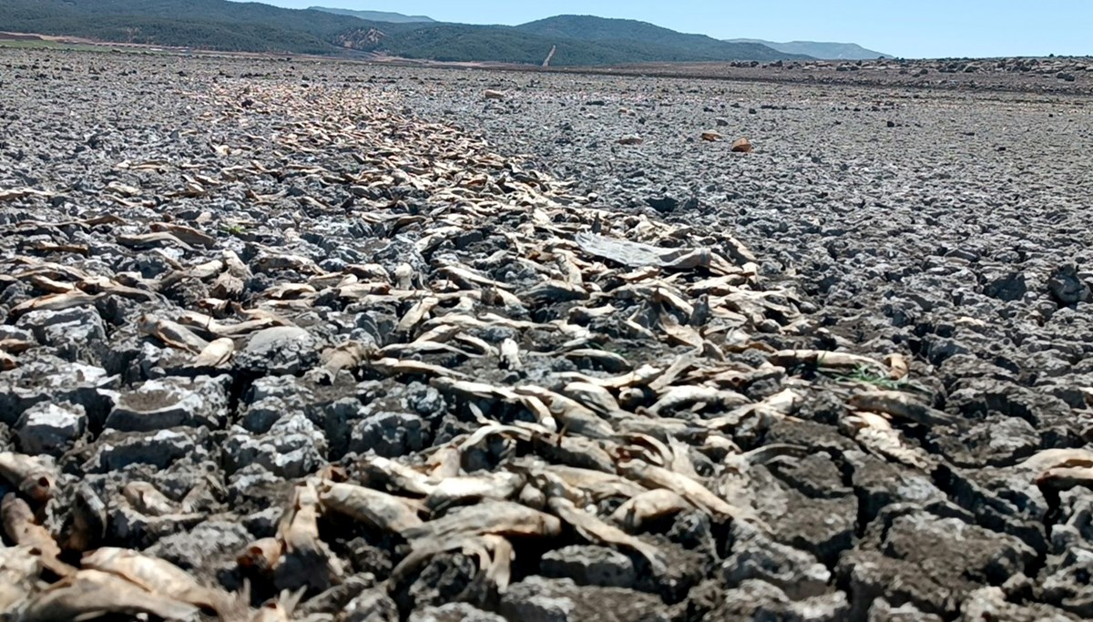 Su tamamen çekildi: Hamamlar Höyüğü gün yüzüne çıktı