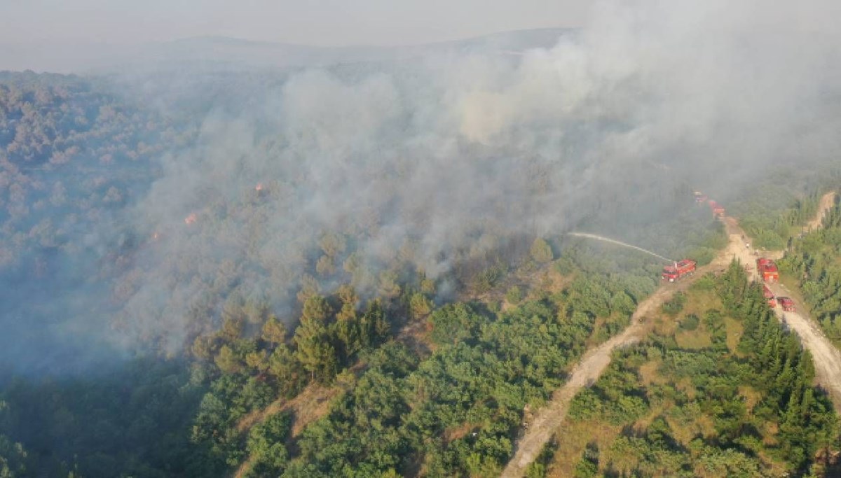 Kepsut'ta orman yangınları: 5 kişi gözaltında