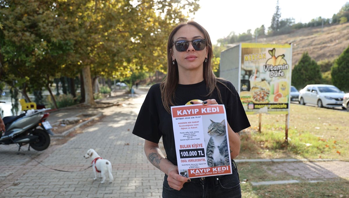 Kedisi kayboldu, bulana 100 bin lira ödül verecek: 