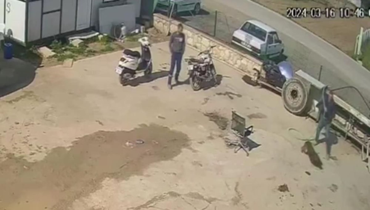 İzmir’de köpeğe acımasız saldırı İzmir’de köpeğe acımasız saldırı