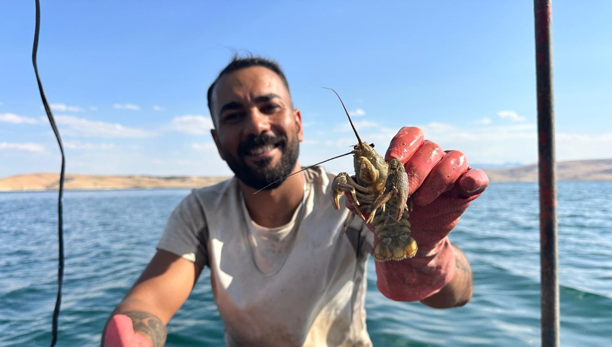İstanbul'un stres ve kalabalığından kaçtı: Köyüne döndü, bu işe başladı