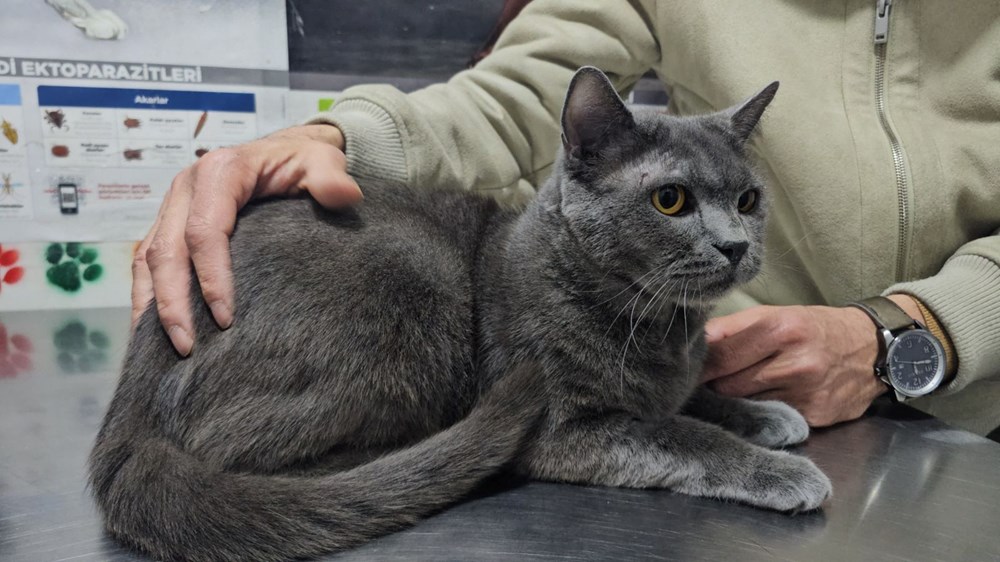 0UJcL8ekEEa7Zuwd0Az6hQ