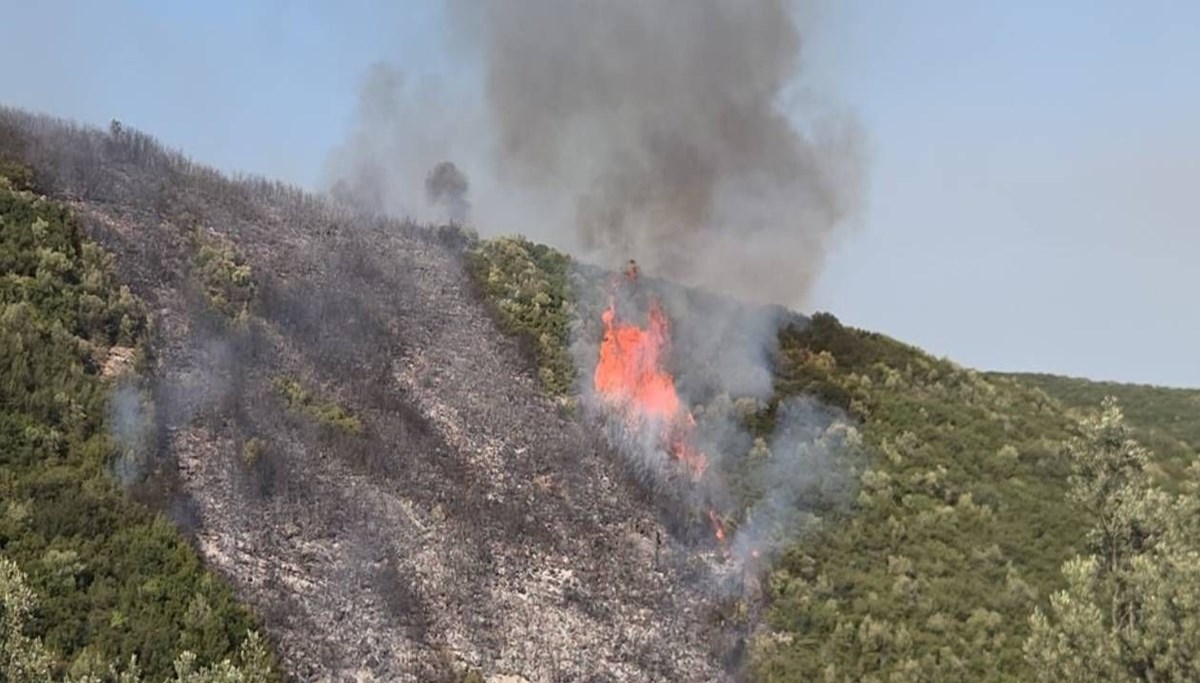 Bursa orman yangını