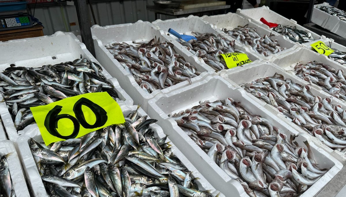 Zonguldak'ta istavrit bolluğu: Kilosu 60 liradan satıldı