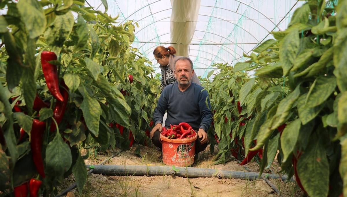 Fiyatı 50 liraydı şimdi 80 TL'den satılıyor: 