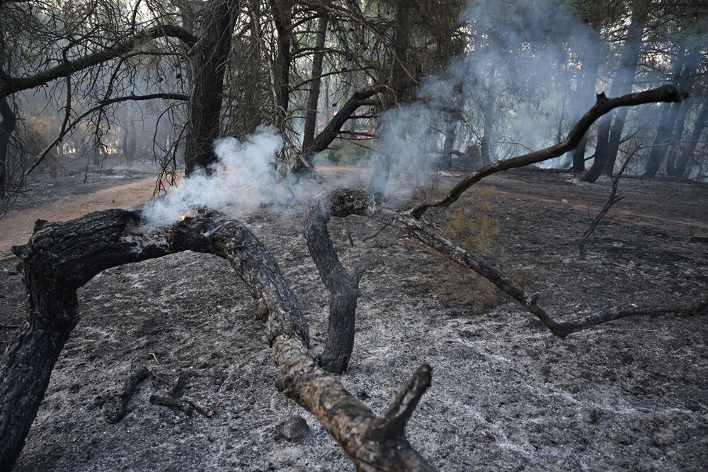 Çanakkale'deki orman yangınında yanan alanlar havadan görüntülendi - 10