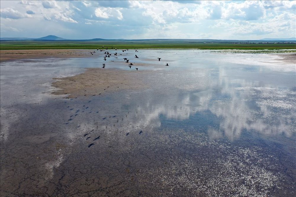 Haftanın fotoğrafları (4-10 Temmuz 2020) - 27