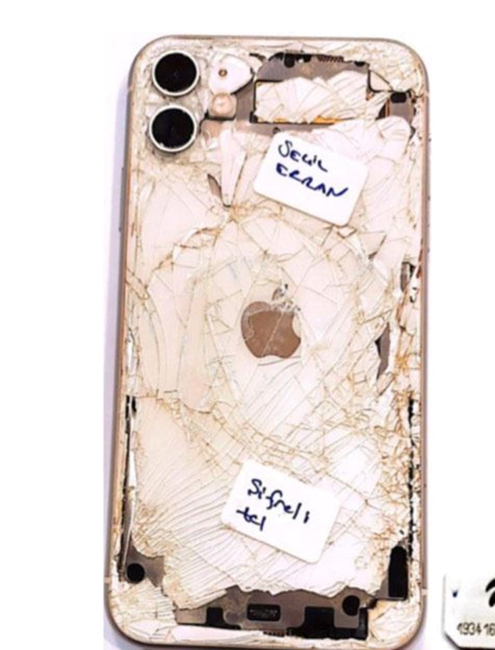 Seçil Erzan davasında yeni bilirkişi raporu | Seçil Erzan’ınGoogle geçmişinde dikkat çeken aramalar - 2