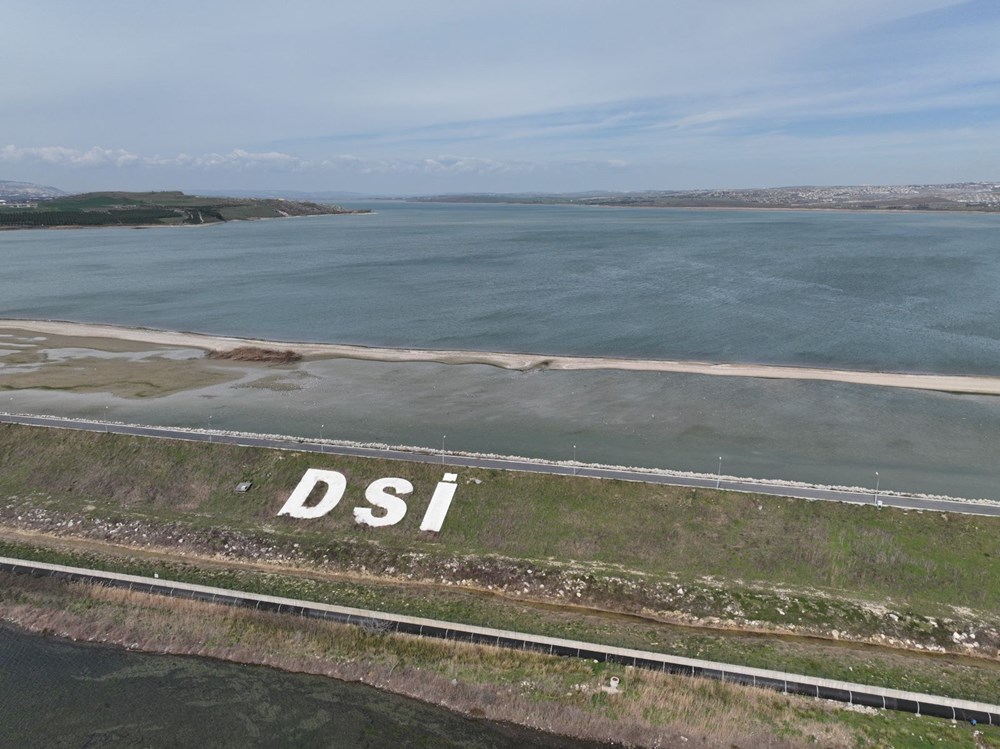 Büyükçekmece Baraj Gölü çekildi: Balıkların olduğu yerde koyunlar otluyor - 8