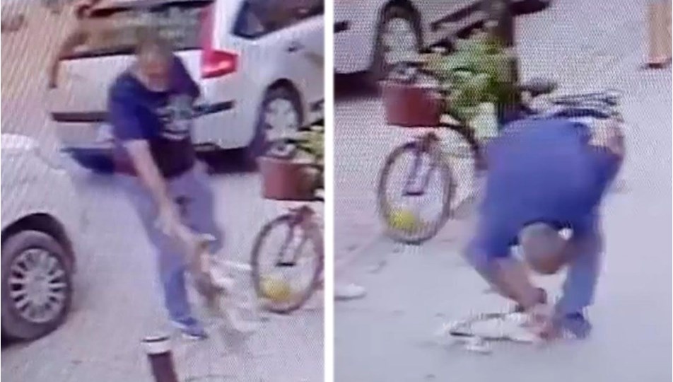 Sokak ortasında vahşet: Köpeğe önce vurdu sonra boğazını sıktı