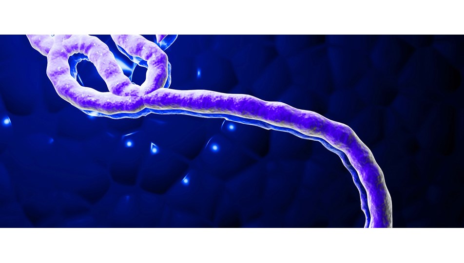 Uganda'da Ebola paniği