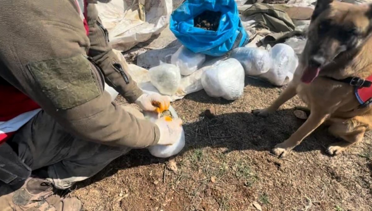 Diyarbakır'da 116 kilogram esrar ele geçirildi