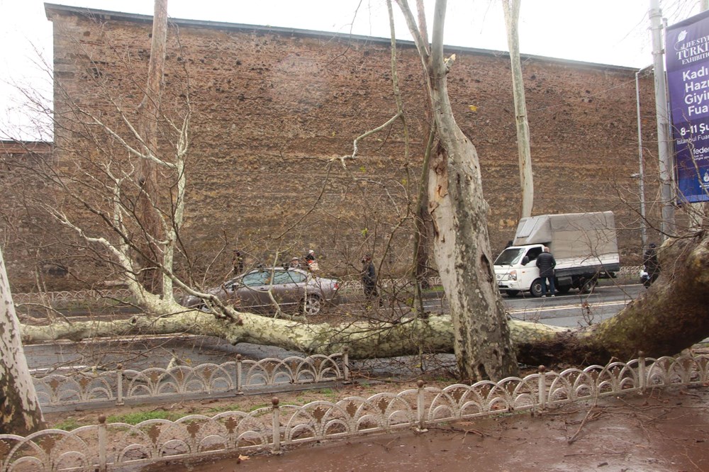Beşiktaş'ta fırtına nedeniyle asırlık çınar ağacı devrildi - 5