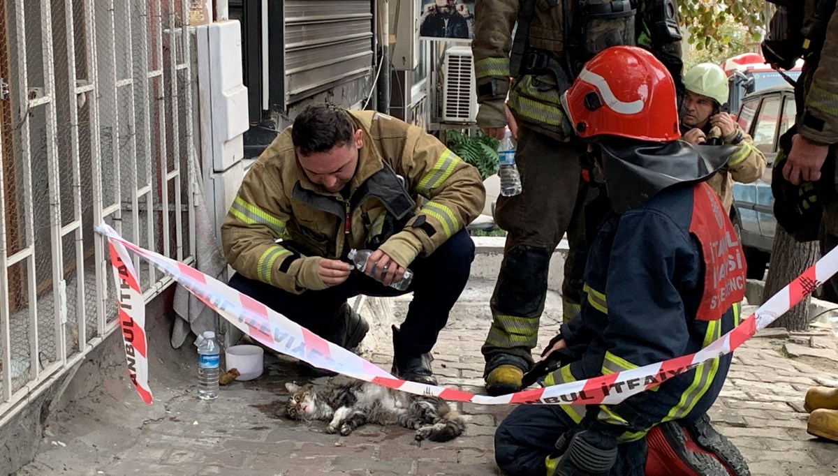 Şişli'de kediyi yangından itfaiye böyle kurtardı