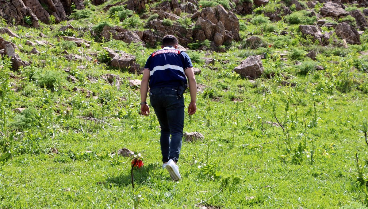 Koparmanın cezası 557 bin lira! Hakkari'de ters lale nöbeti