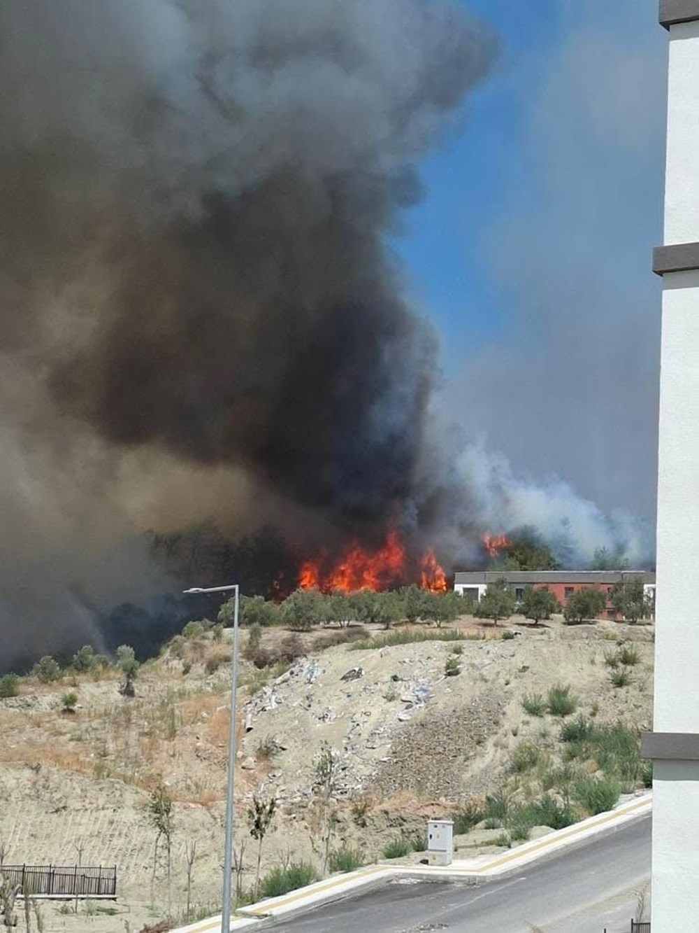 Türkiye'nin ciğerleri yanıyor: İşte yangınlarda son durum - 11