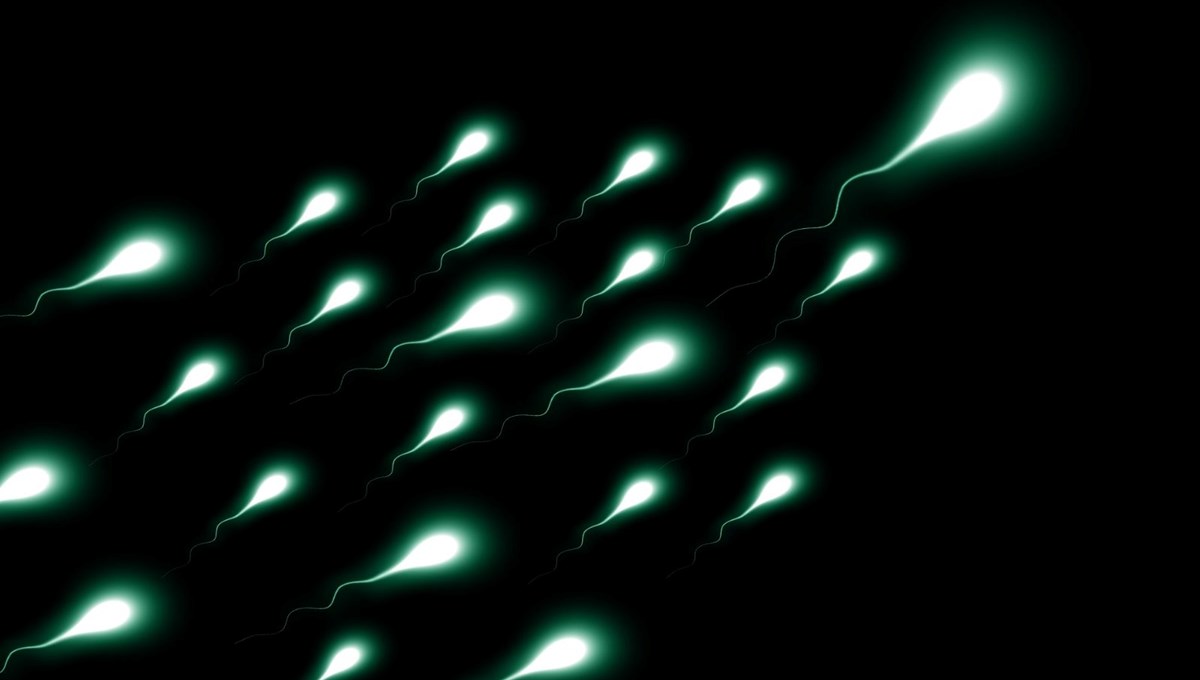 550 çocuğun donörü oldu, sperm bağışlaması yasaklandı