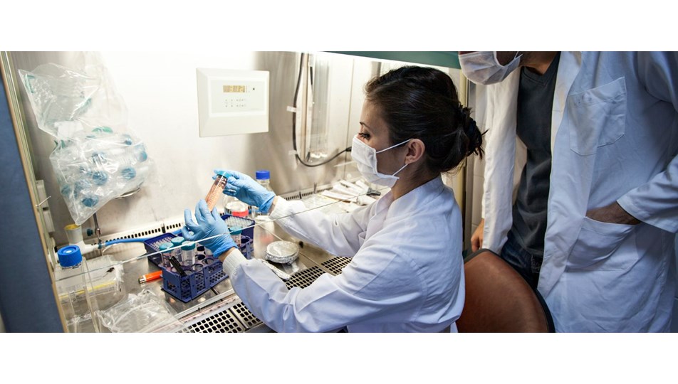 kanser kolay tedavi edilir bir hastalik