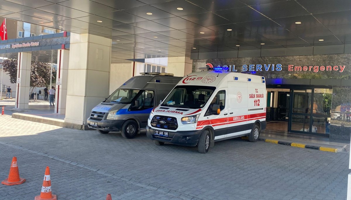 Ahırda süt sağan kadını kene ısırdı