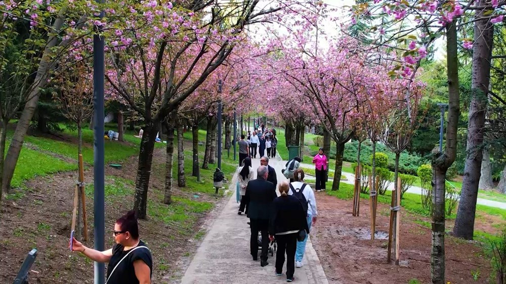 Sakuralar çiçek açtı: Vatandaşlar akın etti 73