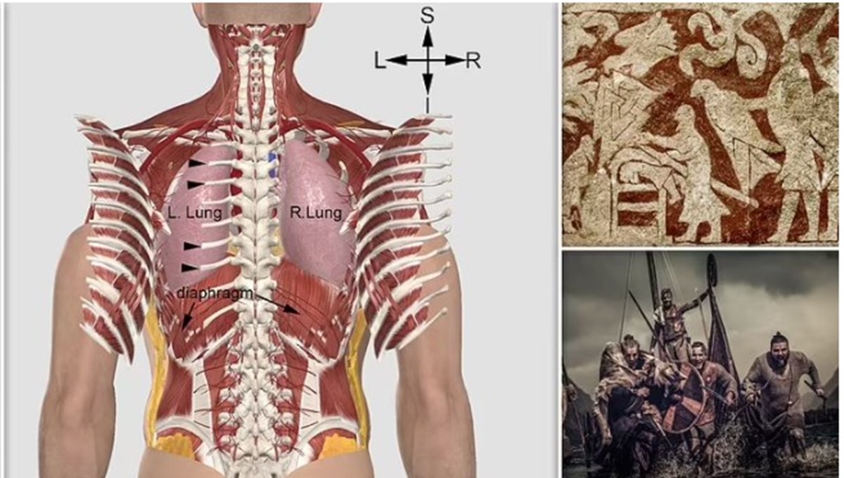 Vikinglerin kan donduran “kan kartalı” işkencesinin anatomik olarak mümkün olduğu kanıtlandı