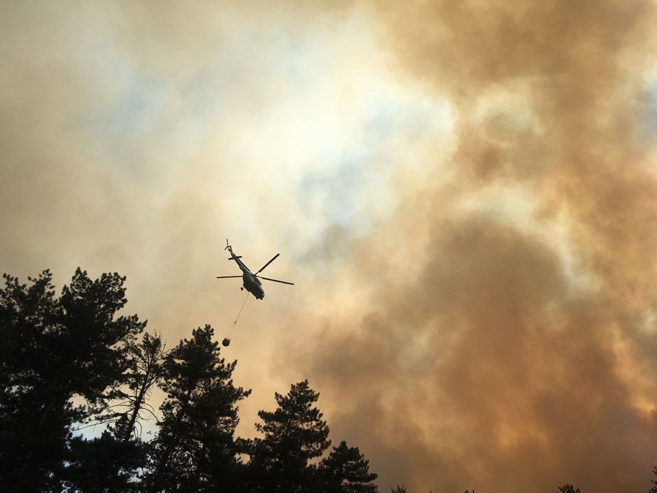 Bolu'daki orman yangını kontrol altına alındı - 1
