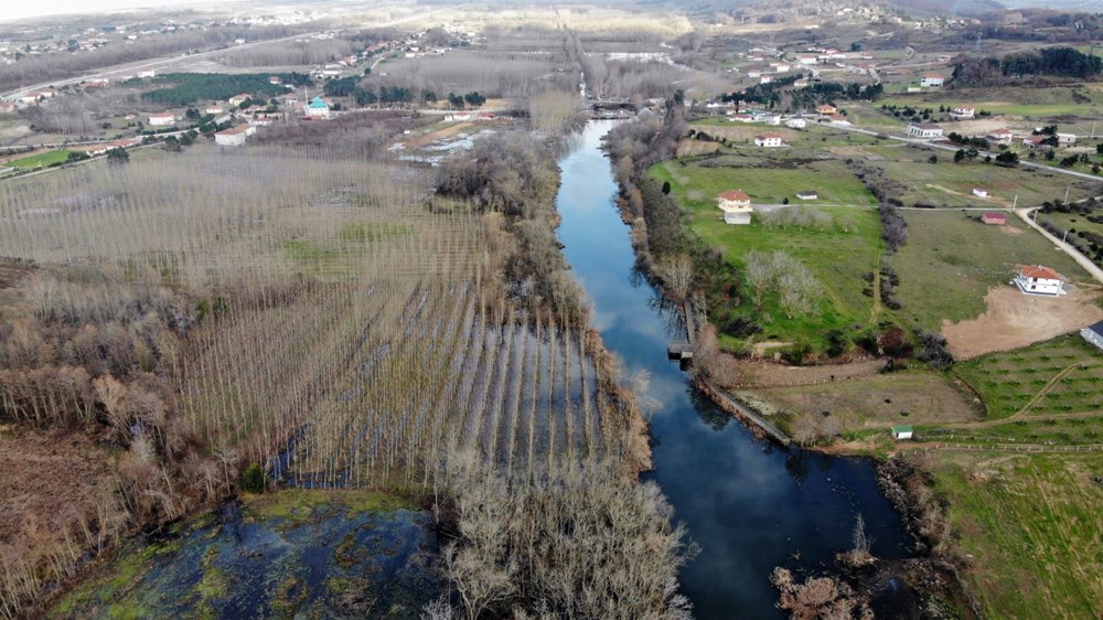 Dünyada ikinci, Türkiye'de ise tek parça halindeki en büyük longoz: Sakarya Acarlar Longozu - 22
