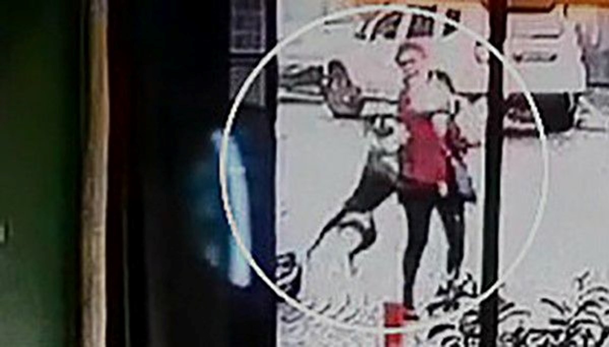 Tasmasız pitbull kadın ve köpeğine saldırdı Tasmasız pitbull kadın ve köpeğine saldırdı