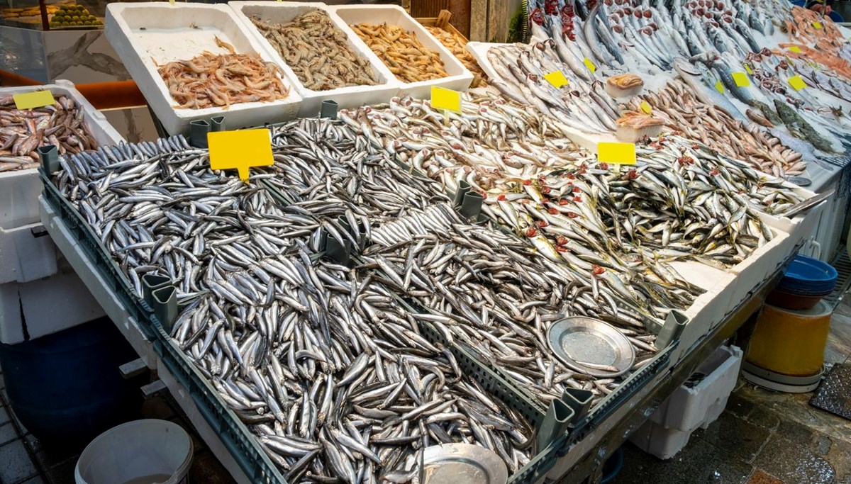 Avlanan iki balıktan biri hamsi oldu