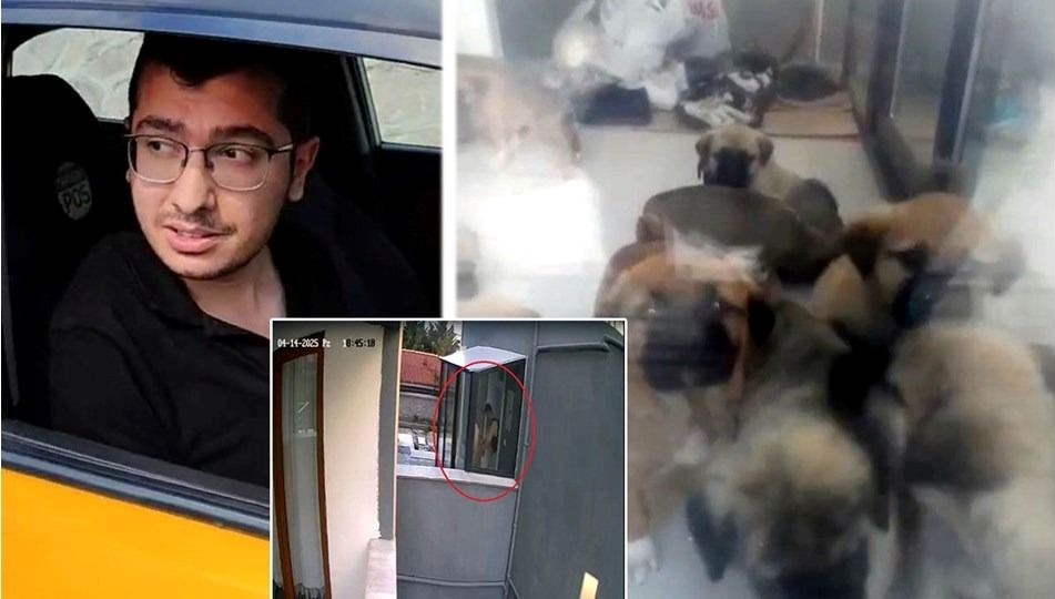 Doktor köpeklere cinsel istismarda bulunmuş